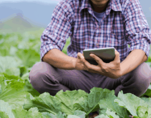 Conduite du changement : quels KPI suivre pour évaluer la gestion du changement ?