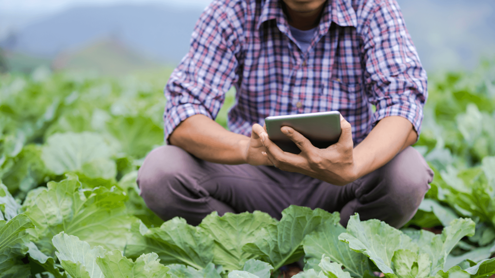 Conduite du changement : quels KPI suivre pour évaluer la gestion du changement ?